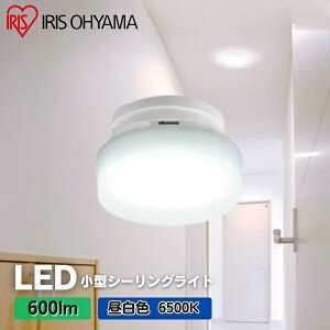 ACXI[} SCL6D-MCHL LED^V[OCg 600lm F ^T[Lbg ȒPt Hsv@ցEgCELELb`EuE[ˁEN[[bg SCL6DMCHL