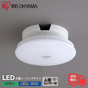 ACXI[} SCL6DMS-UU LED^V[O `600lm F lZT[ ȒPt ցEgCELELb`EuE[ˁyz