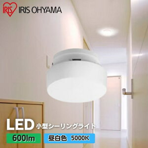 ACXI[} SCL6N-MCHL LED^V[OCg 600lm F ^T[Lbg ȒPt Hsv@ցEgCELELb`EuE[ˁEN[[bg SCL6NMCHL