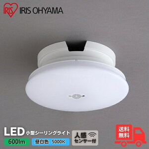 ACXI[} SCL6NMS-UU LED^V[O `600lm F lZT[ ȒPt ցEgCELELb`EuE[ˁyz