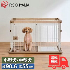 ACXI[} EbfBVXeT[N SWS-900 i` ^ ^ ؖڒ ybgT[N Q[W yz