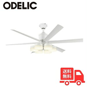 ODELIC I[fbN WF239P1+WF257PR LEDV[Ot@Cg 10 F  XΓVΉ13° DC[^[ 6H Rt yz