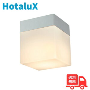 z^NX(NEC) LED XM-LE17111-OL hJEh oX[Cg VtEǕtp dF 40` Z[hF {yz