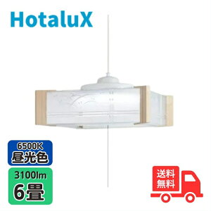 �y���[�J�[5�N�ۏ؁z�z�^���N�X(��NEC) HCDA0669 LED�a���y���_���g���C�g 6�� �����F ���� �y���������z
