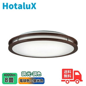 z^NX(NEC) HLDC08304SG LEDV[OCg 8 Fx z^bN@\ I[Nؘgi2ij_[NI[NF@{yz