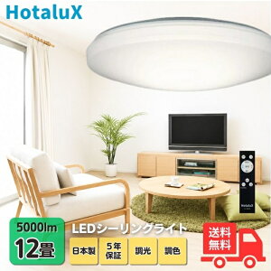 �y���[�J�[5�N�ۏ؁z�z�^���N�X(��NEC) HLDC12258 LED�V�[�����O���C�g 12�� ���F ���� �X���[�v�^�C�}�[ �h�� �X���[�v�^�C�}�[ ���{���y���������z