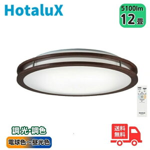 z^NX(NEC) HLDC12304SG LEDV[OCg `12 F× z^bN@\(₷炬@\) }CNp^[Y {yz