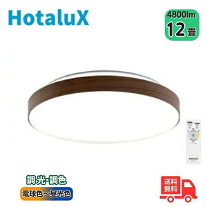 z^NX(NEC) HLDC12333SG LEDV[OCg 12 Fx {@񂽂񗯎^C}[ ؖڒ[@rK[uEFyz