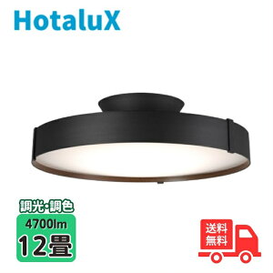 �y���[�J�[5�N�ۏ؁z�z�^���N�X(��NEC) HLDC12A445KSG LED�V�[�����O���C�g(�ی`) 12�� �������F ���₷�݃^�C�}�[ �h���@�\ �m���V�[�����O �V�[�����O���C�g �y���������z