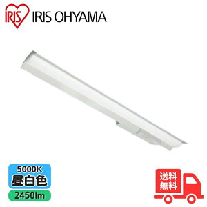 �A�C���X�I�[���} IREL-LX4-170-25N-RTR40 LED�x�[�X���C�g ���p�Ɩ����[�d�r����] ���t�^ �}�t�^�C�v 2450���[���� �����F 5000K IREL-LX3-170-24N-RTR40�̌�p�i�y���������z