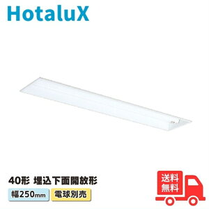 �z�^���N�X(��NEC) MEDL40225-MH8 LED�x�[�X���C�g �d���ʔ� 40�` �������ʊJ���` 250mm�� LDL40×2�� GX16t-5�����y���������z