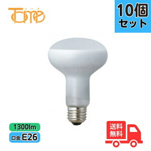 �y10�Z�b�g�z�������^���H�� RF110V90W-TM ���t�����v 100W�^ ����1000h����E26�y���������z