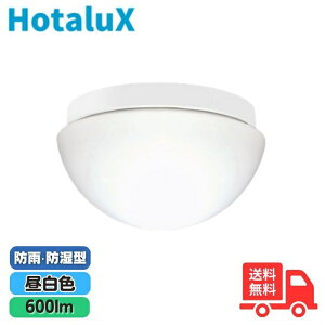 �z�^���N�X(��NEC) LED ������ SXM-LE261737N LED�V�[�����O���C�g ���^ �����F�y���������z