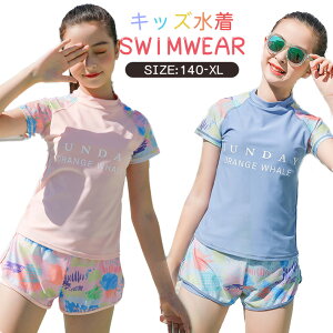 ���� �L�b�Y ���̎q �Z�p���[�g �X�C���E�F�A ���b�V���K�[�h ���� �p���c ���� �X�C���X�[�c �r�[�`�E�F�A ���j �X�N�[������ �L�b�Y �W���j�A ���K�� �q�� �e�q �݂��� �L�b�Y���� ���]�[