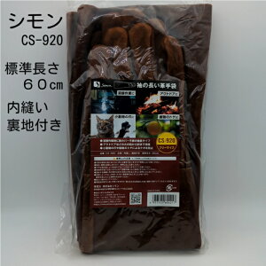 Simon CS-920 V ̒v v(ICH) D nt ewt^vĕt