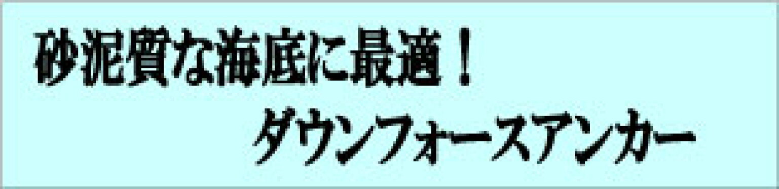 ダウンフォースアンカーシリーズ♪
