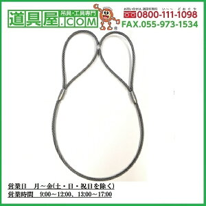 �ʊ|���@���[���k�~�ߍ|�c���C��IWRC6XFi29���@�a12.5mm�@����2m�@��300mm