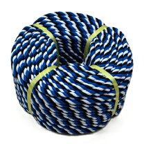 楽天市場】パーム 三子ロープ 10mmの通販