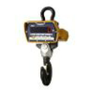 y|Cg10{zyiz A&D (G[EAhEfC) hoEhN[XP[ FJ-T002iS