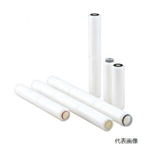 y|Cg5{zyiz ADVANTEC (AhoebN) g[Z TCFH-G100-S1FS (227C1113)