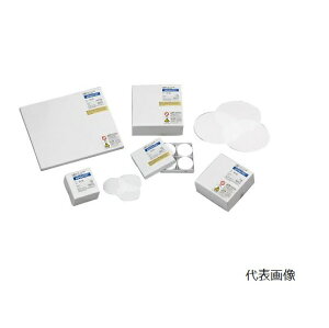 y|Cg10{zyiz ADVANTEC (AhoebN) KXhPG-60 24mm 36661024 (100)