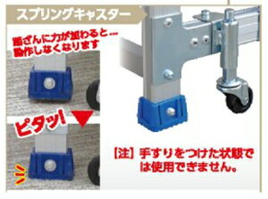 �y�|�C���g10�{�z�y�����i�z �A���C���R �X�v�����O�L���X�^�[ CSBSC1 �s��Ƒ�I�v�V�����t