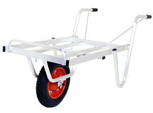 yiz ACR ReiJ[ SKX-01 yEʁz