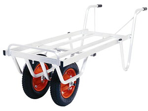 y|Cg5{zyiz ACR ReiJ[ SKX-03W yEʁz