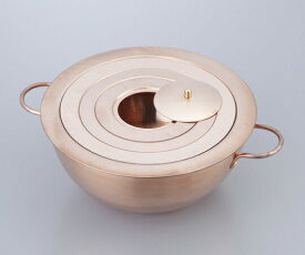 【ポイント10倍】アズワン 湯煎器 210 (1-1516-03) 《研究・実験用機器》