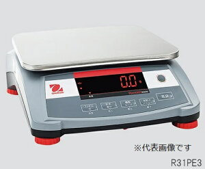 yiz AY W[V[Y^͂ R31PE6 (3-5127-03) svEEt