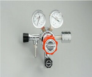 �y�|�C���g5�{�z�y�����i�z �A�Y���� ���͒�����(GF�V���[�Y) GF2-2510-LN-VPV (1-6666-06) �s�v���E����E�����t