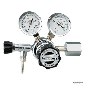 �y�|�C���g10�{�z�A�Y���� ���͒�����(GF�V���[�Y) GF1-2506-RN-VO (1-6666-13) �s�v���E����E�����t