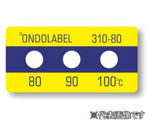 AY xx(stE3_\)(10) 310-80 (61-3816-54) svEEt