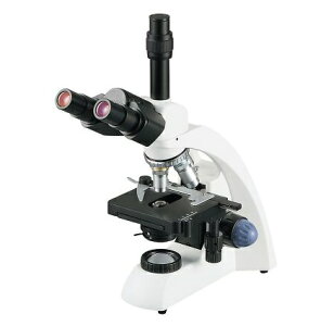 y|Cg5{zyiz AY [d CM-5003 (1-3445-03) svEEt