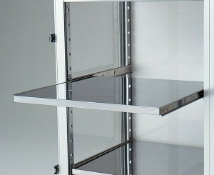 【ポイント10倍】アズワン デシケーター(耐荷重型)用スライドレール棚 6-6959-11 《実験設備・保管》