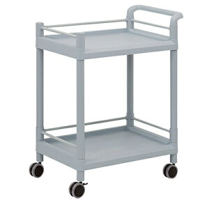 y|Cg5{zyiz AY oCXg[WJ[g(K[hgEnht)2i 705×444×860 MSO21G (3-6496-03) sݔEۊǁt y^z