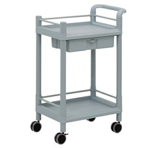 y|Cg5{zAY oCXg[WJ[g 2i 598×370×870mm(oEK[hgEnht) MSO11K (3-6497-08) sݔEۊǁt