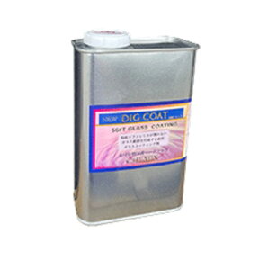 yiz P~bNX DIGR[g 1L DIG1 y^z