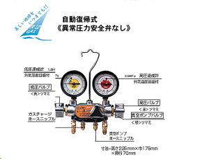 �y�|�C���g10�{�z�f���Q�� �}�j�z�[���h�Q�[�W CP-MG300N �q3�o���u�����r
