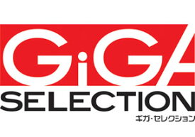 ギガ・セレクション 永磁サインバーチャック GSX42-125250-A 【受注生産品】