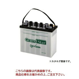 【直送品】 GSユアサ バッテリー EB グランドスター 小型電動車用鉛蓄電池 EB35-LE