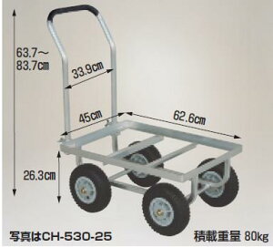 y|Cg5{zyiz nbNX ؍ 傫Rei1p CH-530-25 GA[^C y^z