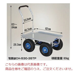 yiz nbNX ؍ 傫Rei1p(A~t) CH-530-35NP m[pN^C y^z