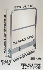 y|Cg10{zyiz nbNX FDS-2Lp肷 FDS-W95 sʔit yEʁz