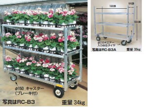 y|Cg10{zyiz nbNX bNXJ[S A~tR RC-B3 i2փGA[^Cj y^z