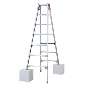 y|Cg10{zyiz JH nZK ͂pLkr VK} RYR-21a (10904) 㕔^Cv y^z