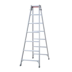 y|Cg10{zyiz JH nZK ͂pr RD-21c (10931) y^z