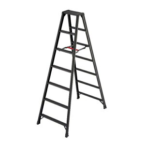 �y�����i�z ���J��H�� �n�Z�K�� �r�� �r�y BLACK RZB-21b (17765) �y��^�z
