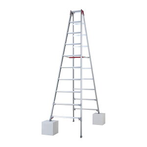 yiz yHs2025z JH nZK Lkr RYZ-30d (10892) y^z