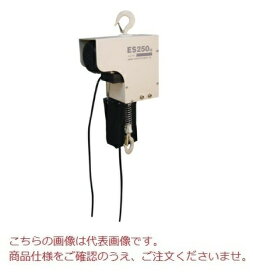 【直送品】 スリーエッチ H.H.H 電気チェーンブロック ES250kg×6m (ES250X6)